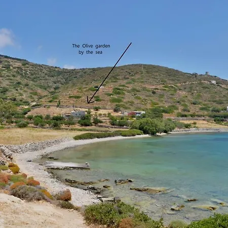 The Olive Garden By The Sea *