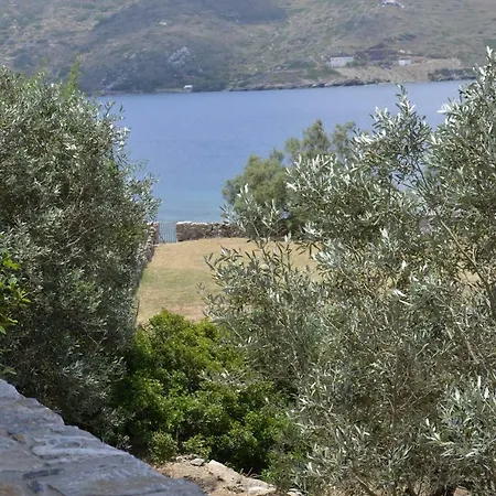 בית נופש The Olive Garden By The Sea